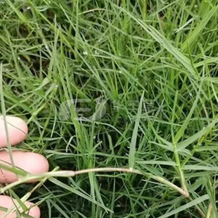 1673389477469490