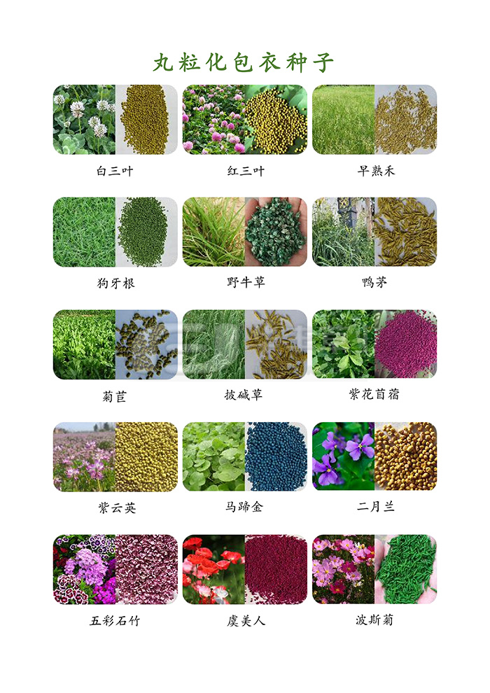 种子丸；庸