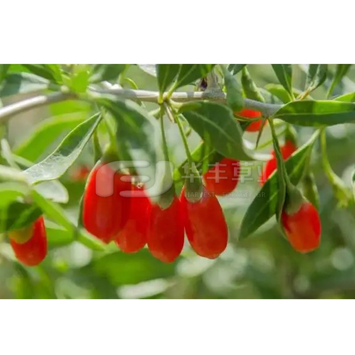 1673476925895033 1673476925895033