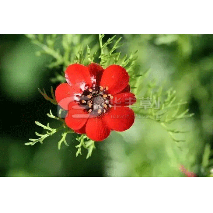 1673478145533963