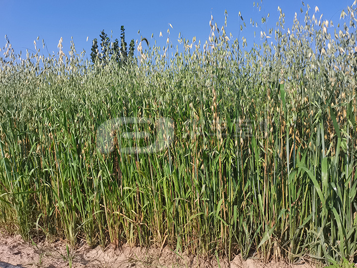 1673559388135631