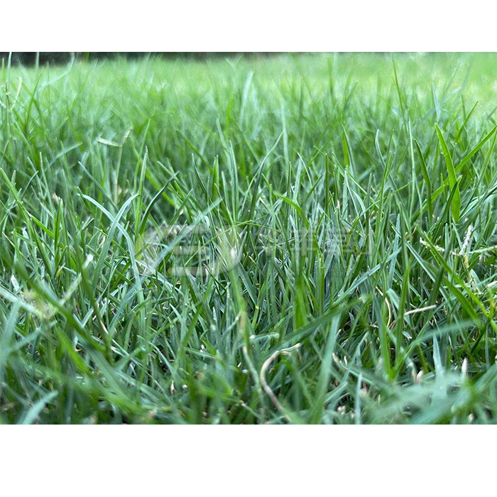 1677221713580881