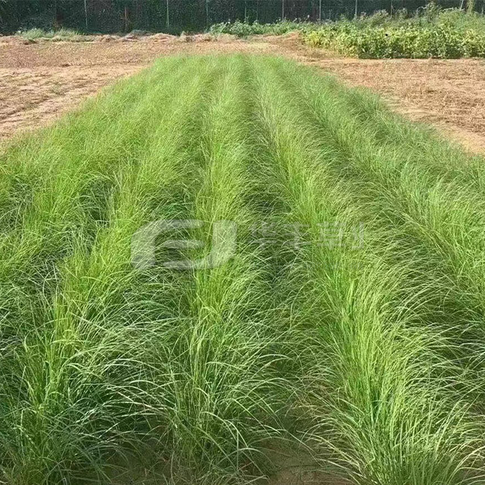 1677295771348185 1677295771348185