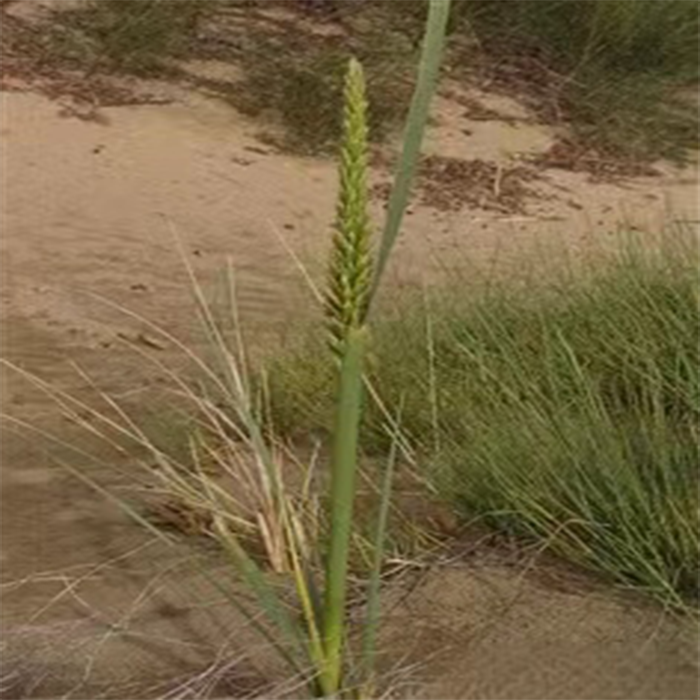 1710739354266086 1710739354266086