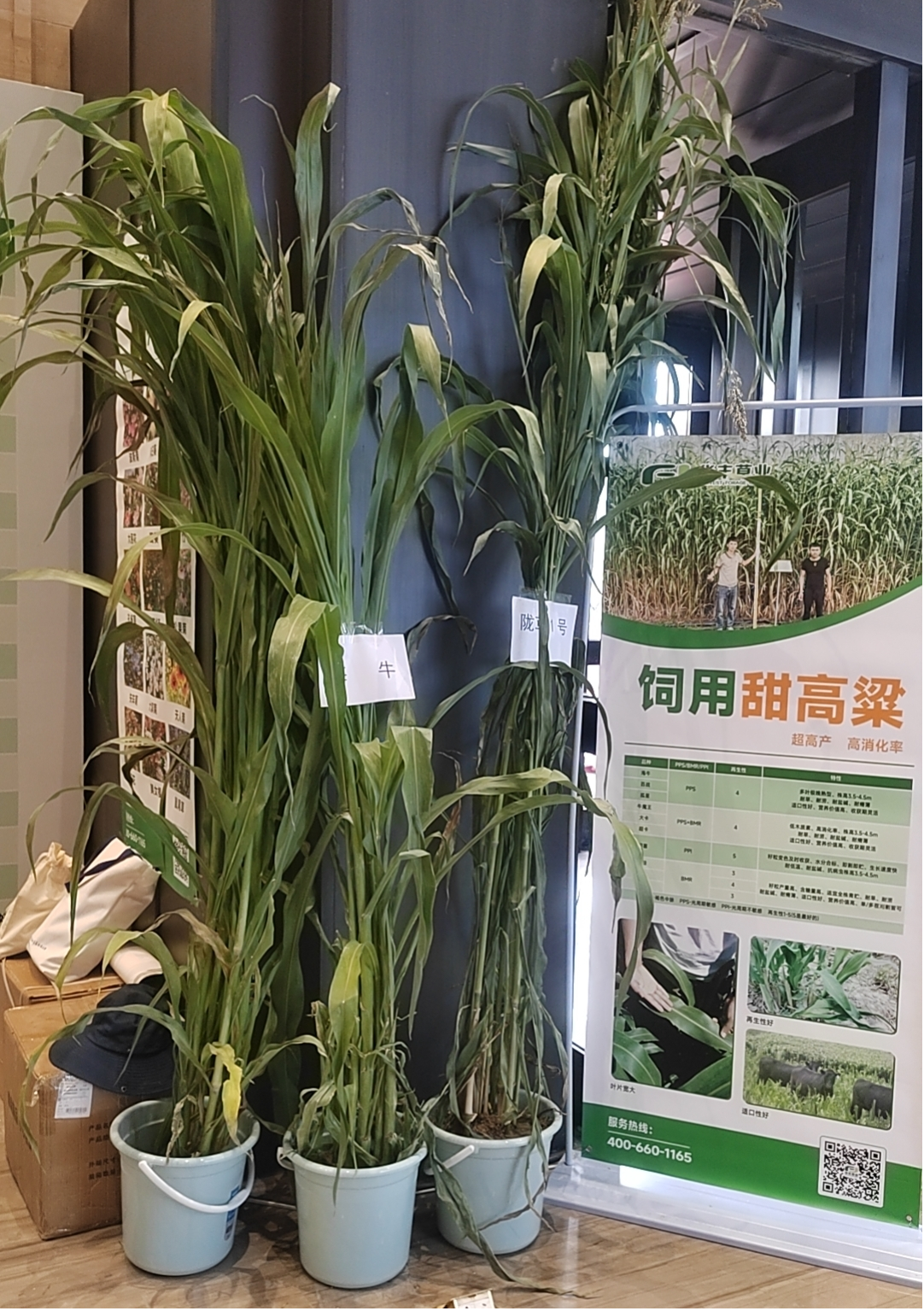 1724151243139646 图片6.png