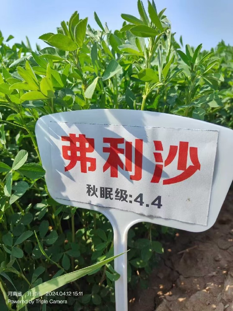 1729238851448900 OG东方厅·(中国集团)官方网站