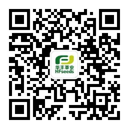 OG东方厅