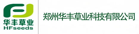 OG东方厅